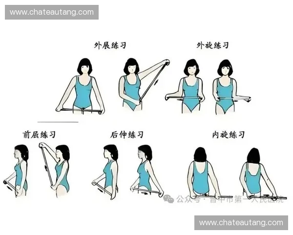 肩部康复训练:科学方法与实践指导助力恢复与预防肩部损伤 肩部康复训练:科学方法与实践指导助力恢复与预防肩部损伤