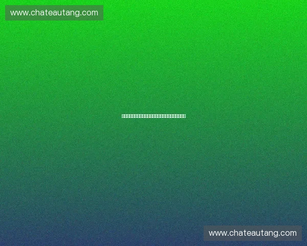 体育授权店打造专业运动体验中心满足消费者个性化需求